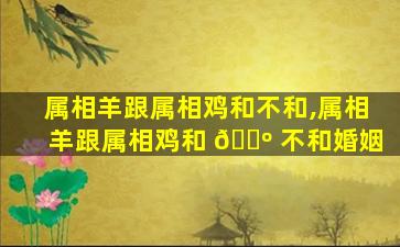 属相羊跟属相鸡和不和,属相羊跟属相鸡和 🌺 不和婚姻